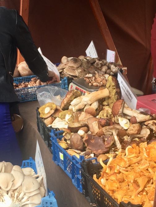 Mushroom Venor at a Farmer's Market in the Technical University, Prague